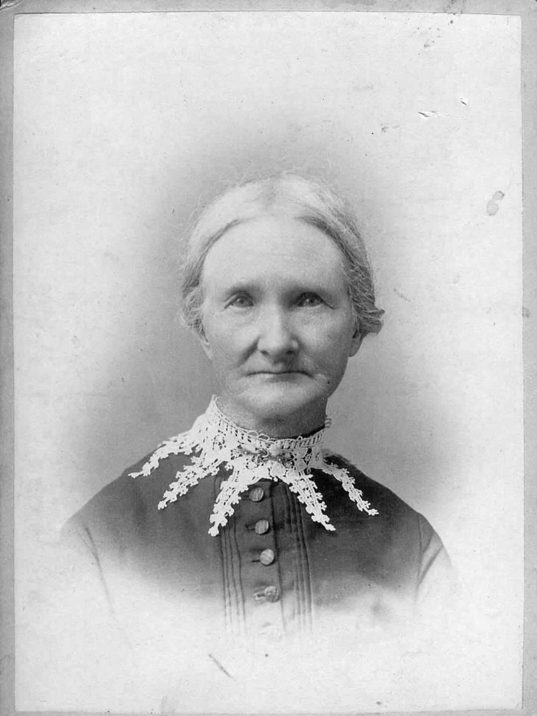 Mary Hemingway Healey (1829 - 1906) Profile